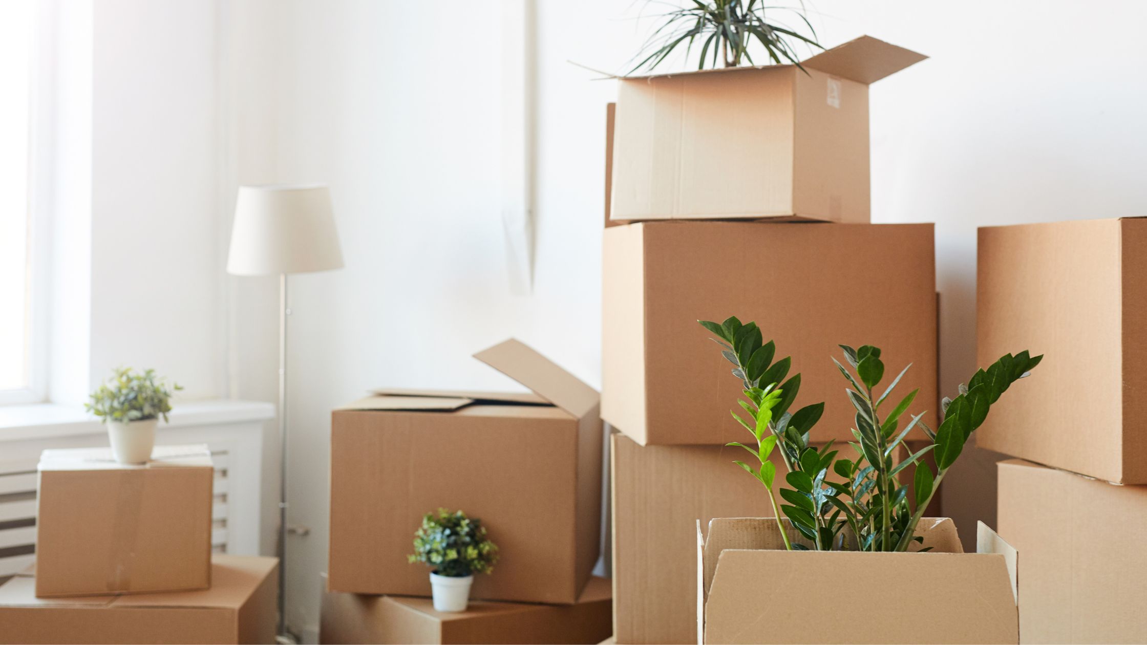 ttstoreit moving boxes